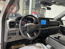 فۆرد F-150